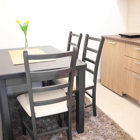 Jtp Apartmani Ivanjica Exterior foto